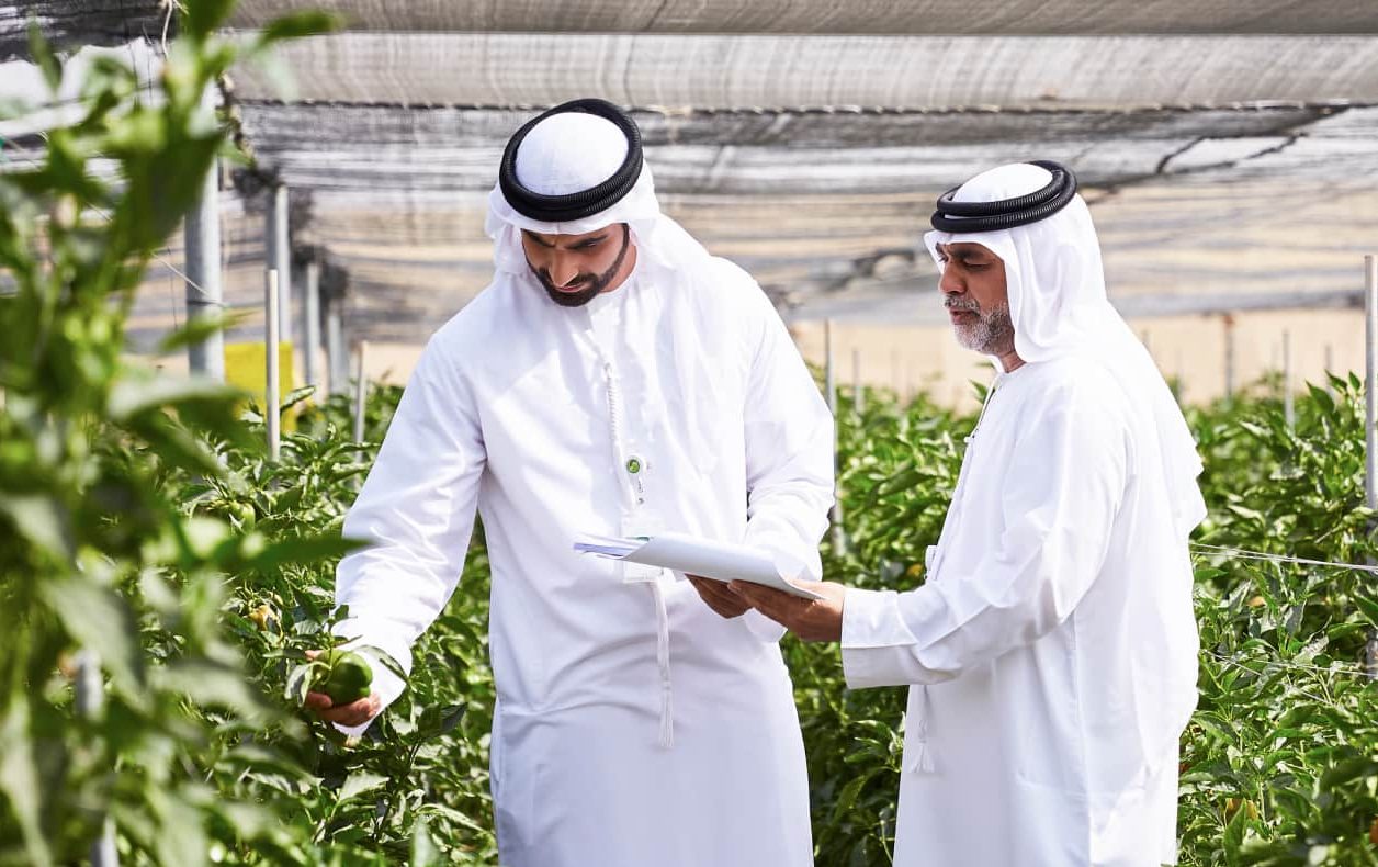 PROGRAMS & INITIATIVES